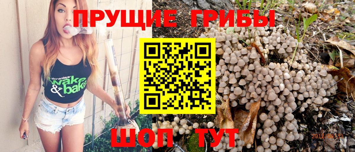Амурск  Галлюциногенные грибы GOLDEN TEACHER  Вход с VPN  Псилоцибиновые грибы GOLDEN TEACHER 